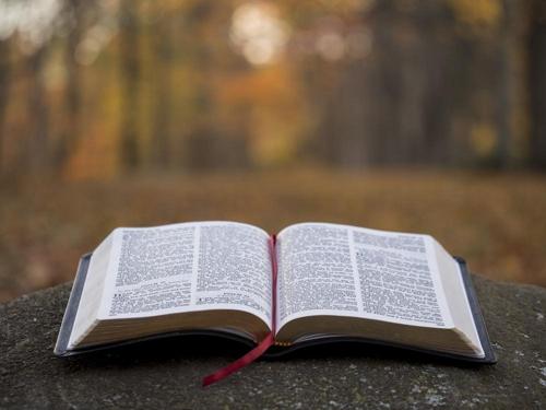 bible-image